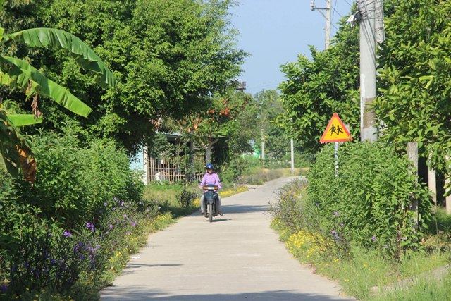 Tuổi cao vẫn tham gia xây dựng nông thôn mới